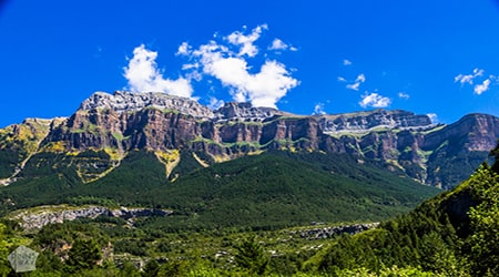 طبیعتی سرشار از زندگی در پارک های ملی